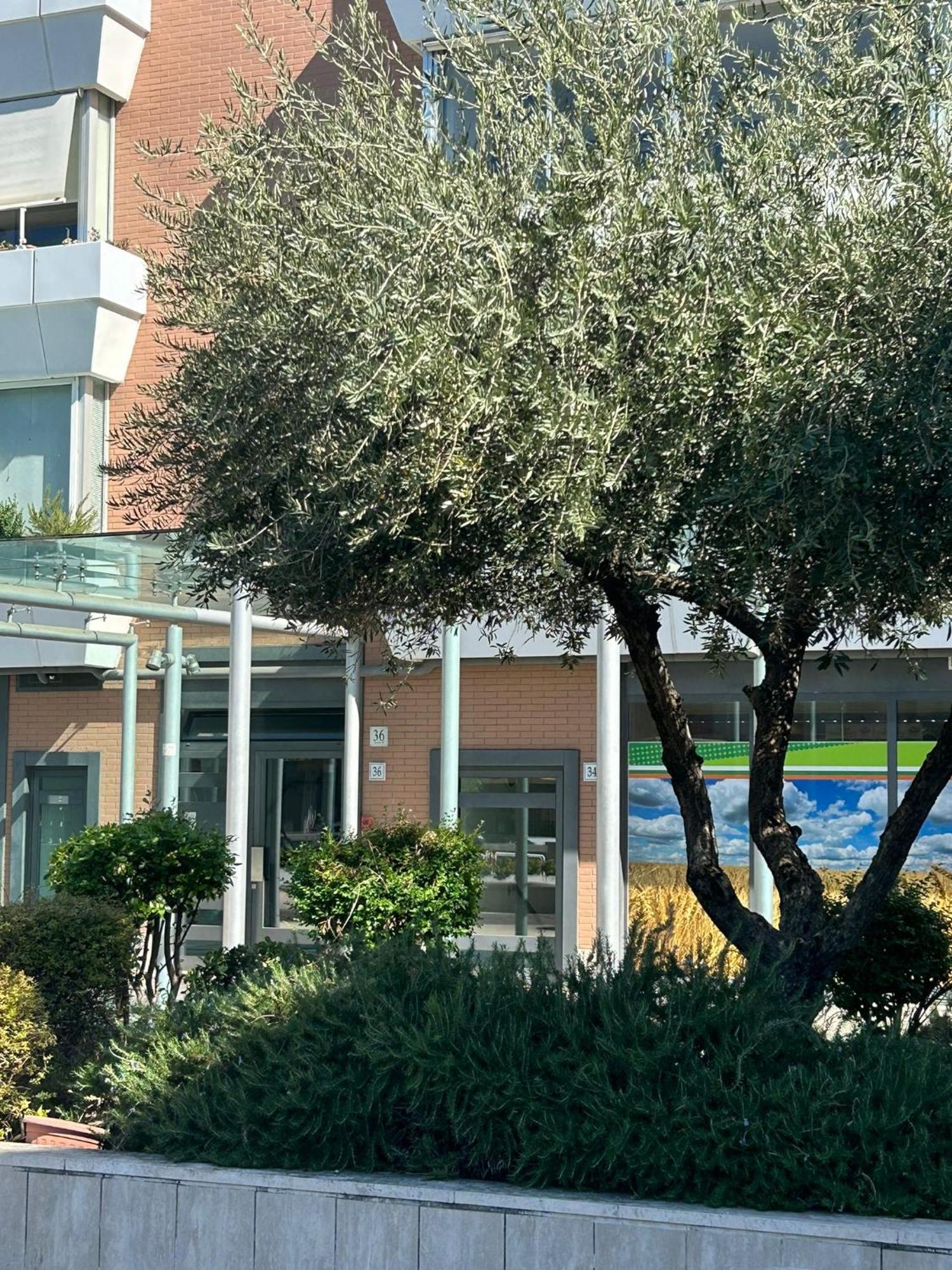 Dina Suite Roma Esterno foto